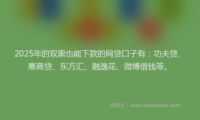 2025年的双黑也能下款的网贷口子有：功夫贷、惠商贷、东方汇、融逸花、微博借钱等。