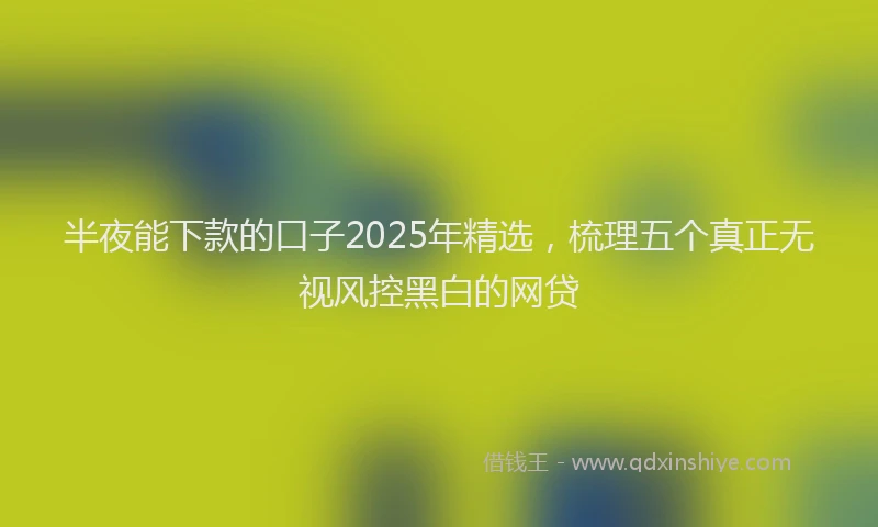 半夜能下款的口子2025年精选，梳理五个真正无视风控黑白的网贷