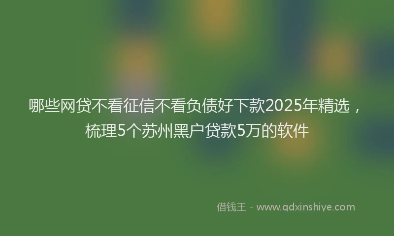 哪些网贷不看征信不看负债好下款2025年精选，梳理5个苏州黑户贷款5万的软件