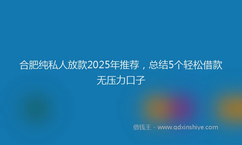 合肥纯私人放款2025年推荐，总结5个轻松借款无压力口子