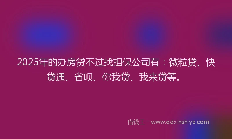 2025年的办房贷不过找担保公司有：微粒贷、快贷通、省呗、你我贷、我来贷等。