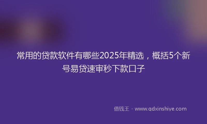 常用的贷款软件有哪些2025年精选，概括5个新号易贷速审秒下款口子