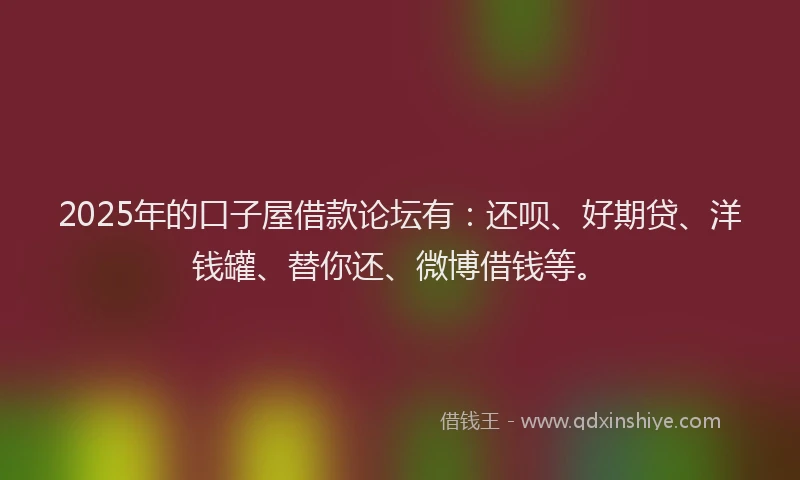 2025年的口子屋借款论坛有：还呗、好期贷、洋钱罐、替你还、微博借钱等。