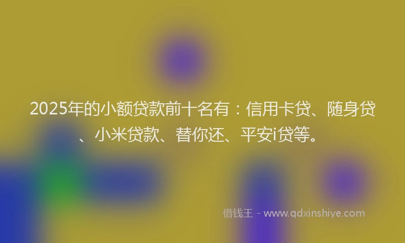 2025年的小额贷款前十名有：信用卡贷、随身贷、小米贷款、替你还、平安i贷等。
