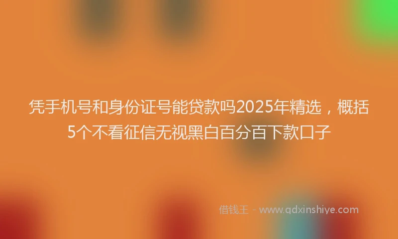 凭手机号和身份证号能贷款吗2025年精选，概括5个不看征信无视黑白百分百下款口子