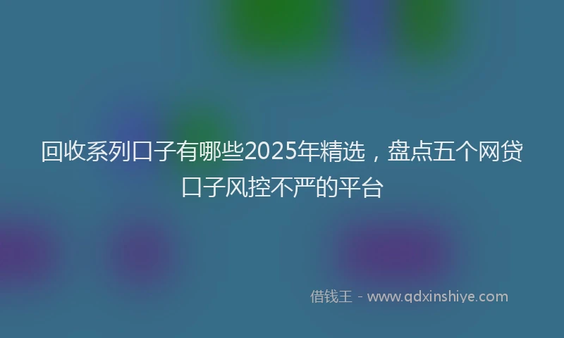 回收系列口子有哪些2025年精选，盘点五个网贷口子风控不严的平台