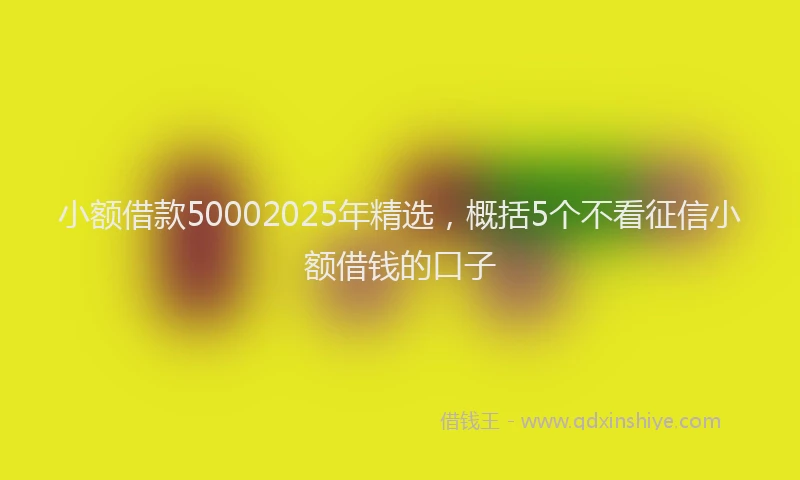 小额借款50002025年精选，概括5个不看征信小额借钱的口子
