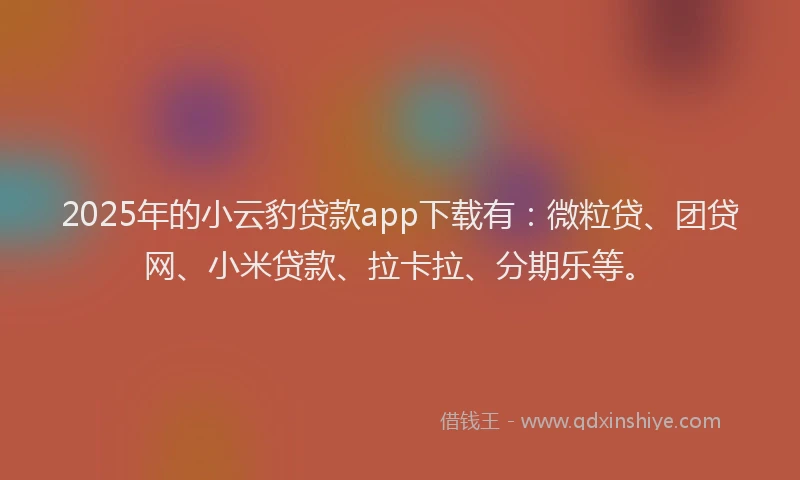 2025年的小云豹贷款app下载有：微粒贷、团贷网、小米贷款、拉卡拉、分期乐等。