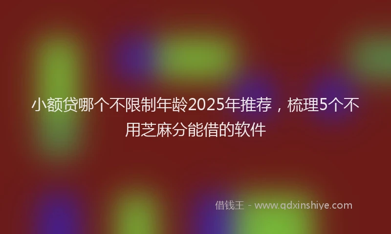 小额贷哪个不限制年龄2025年推荐，梳理5个不用芝麻分能借的软件