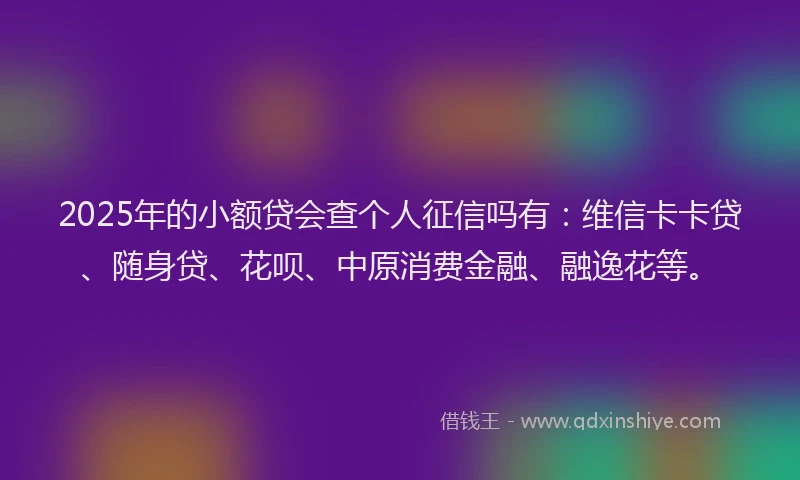 2025年的小额贷会查个人征信吗有：维信卡卡贷、随身贷、花呗、中原消费金融、融逸花等。