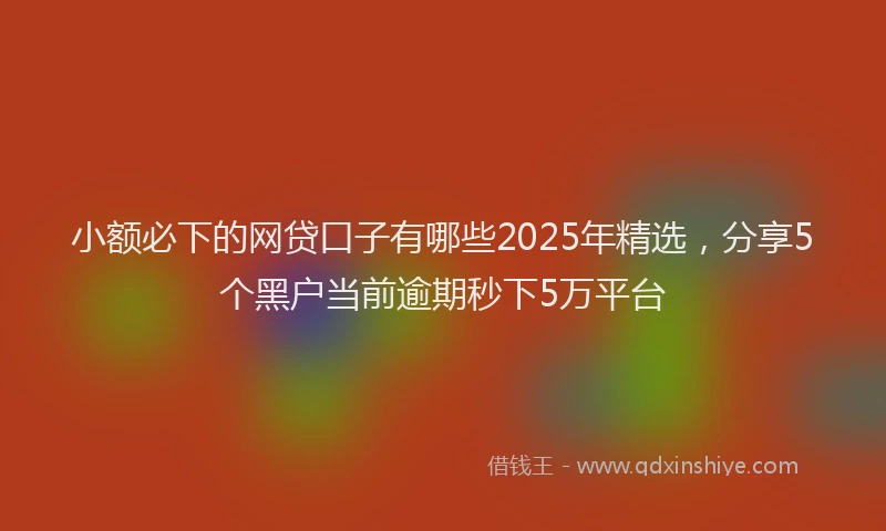 小额必下的网贷口子有哪些2025年精选，分享5个黑户当前逾期秒下5万平台