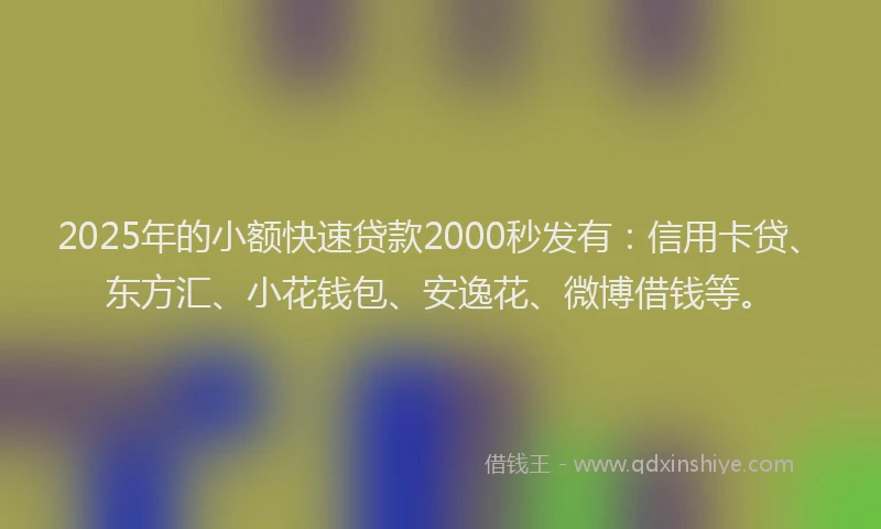 2025年的小额快速贷款2000秒发有：信用卡贷、东方汇、小花钱包、安逸花、微博借钱等。