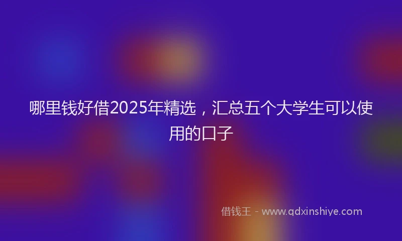 哪里钱好借2025年精选，汇总五个大学生可以使用的口子