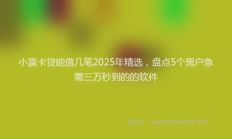 小赢卡贷能借几笔2025年精选，盘点5个黑户急需三万秒到的的软件