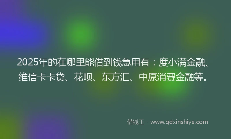 2025年的在哪里能借到钱急用有：度小满金融、维信卡卡贷、花呗、东方汇、中原消费金融等。