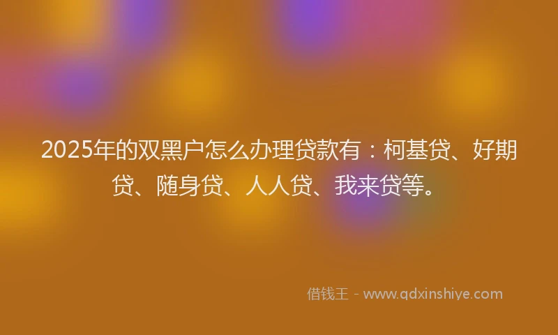 2025年的双黑户怎么办理贷款有：柯基贷、好期贷、随身贷、人人贷、我来贷等。