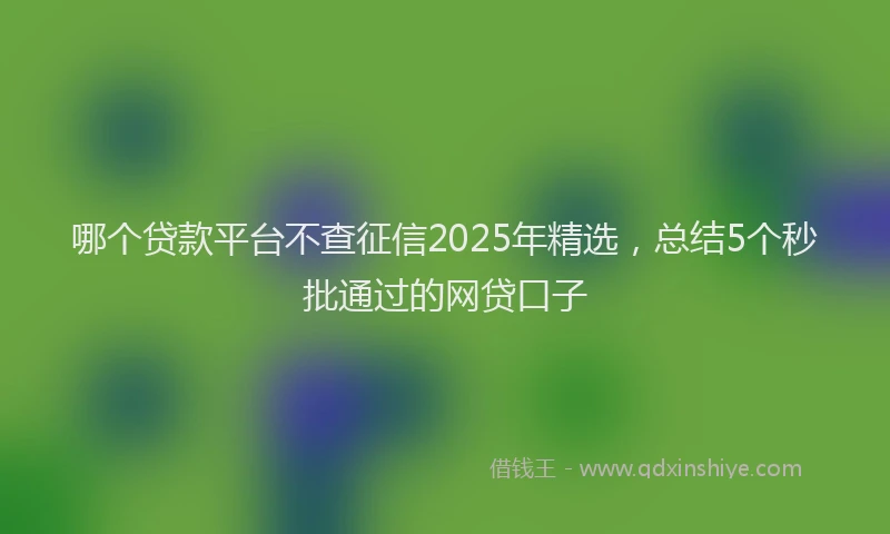 哪个贷款平台不查征信2025年精选，总结5个秒批通过的网贷口子