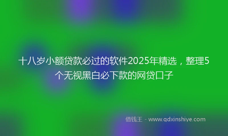 十八岁小额贷款必过的软件2025年精选，整理5个无视黑白必下款的网贷口子