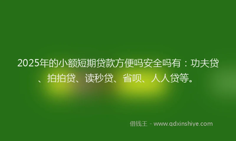 2025年的小额短期贷款方便吗安全吗有：功夫贷、拍拍贷、读秒贷、省呗、人人贷等。