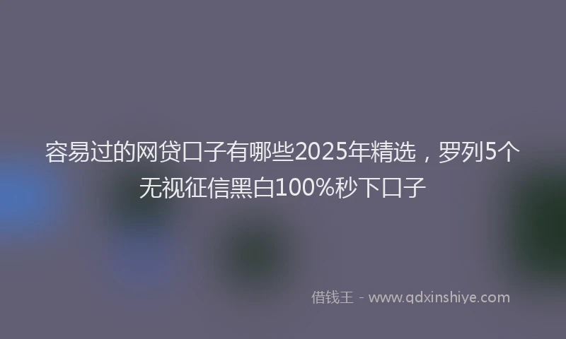 容易过的网贷口子有哪些2025年精选，罗列5个无视征信黑白100%秒下口子