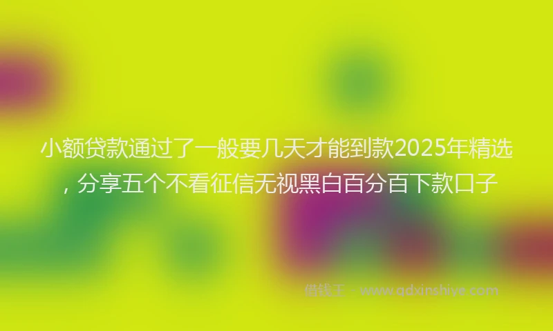 小额贷款通过了一般要几天才能到款2025年精选，分享五个不看征信无视黑白百分百下款口子