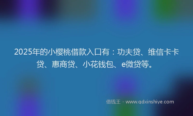 2025年的小樱桃借款入口有：功夫贷、维信卡卡贷、惠商贷、小花钱包、e微贷等。