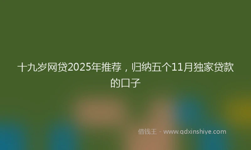 十九岁网贷2025年推荐，归纳五个11月独家贷款的口子