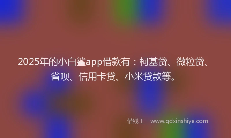 2025年的小白鲨app借款有：柯基贷、微粒贷、省呗、信用卡贷、小米贷款等。