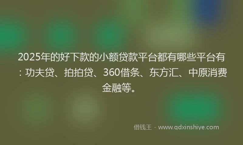 2025年的好下款的小额贷款平台都有哪些平台有：功夫贷、拍拍贷、360借条、东方汇、中原消费金融等。