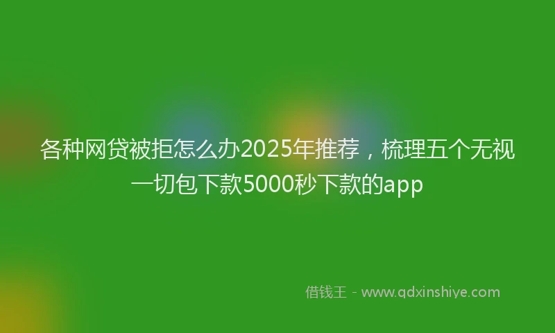 各种网贷被拒怎么办2025年推荐，梳理五个无视一切包下款5000秒下款的app