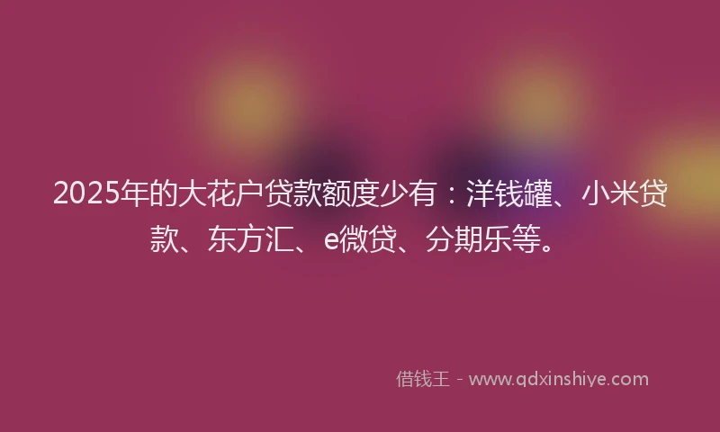 2025年的大花户贷款额度少有：洋钱罐、小米贷款、东方汇、e微贷、分期乐等。
