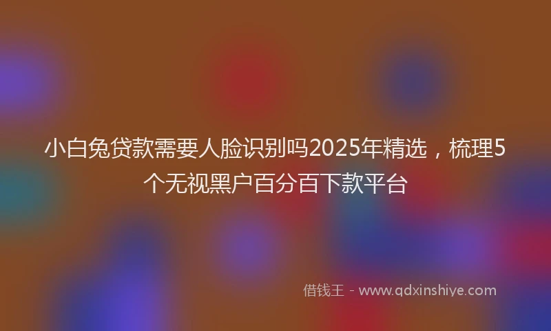 小白兔贷款需要人脸识别吗2025年精选，梳理5个无视黑户百分百下款平台