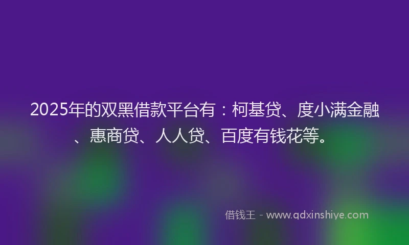 2025年的双黑借款平台有：柯基贷、度小满金融、惠商贷、人人贷、百度有钱花等。