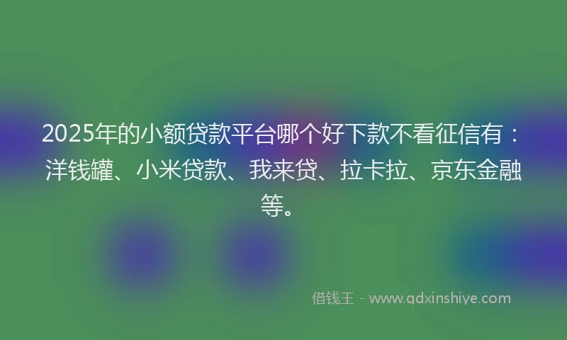 2025年的小额贷款平台哪个好下款不看征信有：洋钱罐、小米贷款、我来贷、拉卡拉、京东金融等。