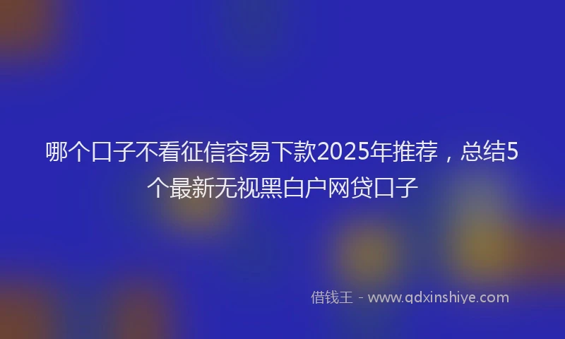 哪个口子不看征信容易下款2025年推荐，总结5个最新无视黑白户网贷口子