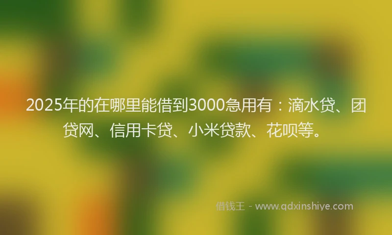 2025年的在哪里能借到3000急用有：滴水贷、团贷网、信用卡贷、小米贷款、花呗等。