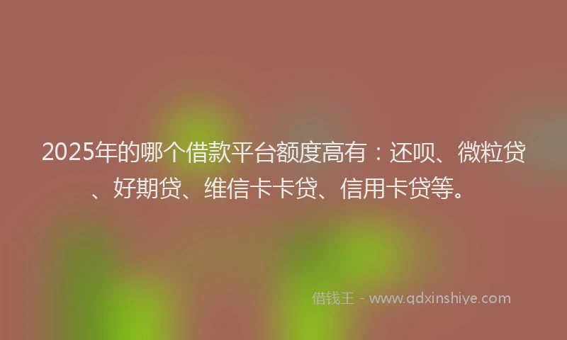 2025年的哪个借款平台额度高有：还呗、微粒贷、好期贷、维信卡卡贷、信用卡贷等。