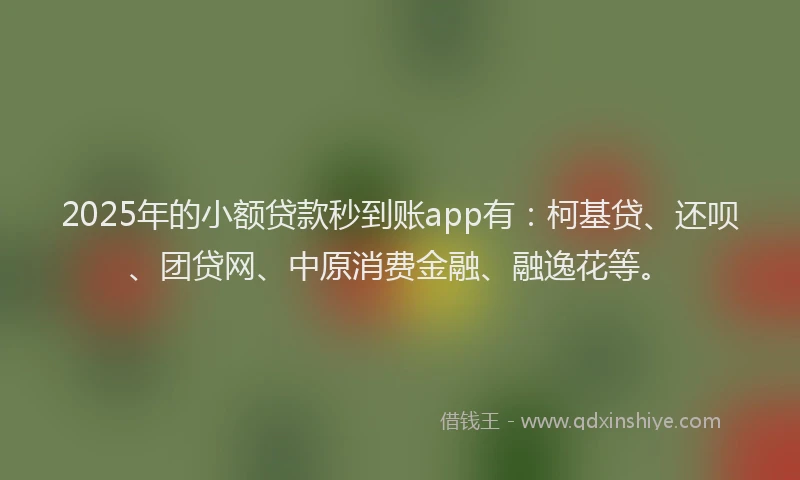 2025年的小额贷款秒到账app有：柯基贷、还呗、团贷网、中原消费金融、融逸花等。