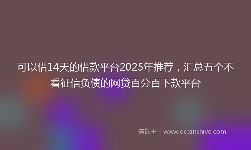 可以借14天的借款平台2025年推荐，汇总五个不看征信负债的网贷百分百下款平台