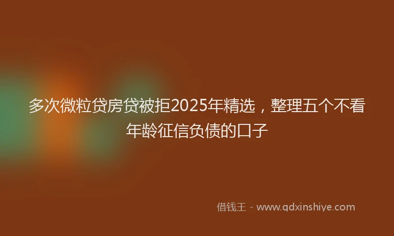 多次微粒贷房贷被拒2025年精选，整理五个不看年龄征信负债的口子