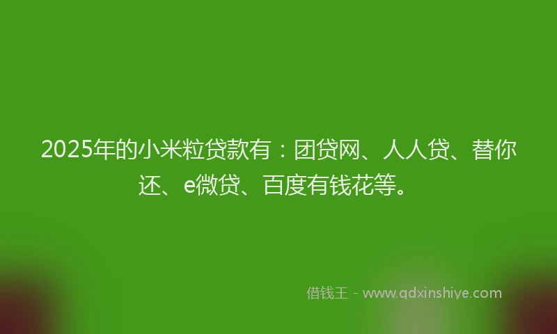 2025年的小米粒贷款有：团贷网、人人贷、替你还、e微贷、百度有钱花等。