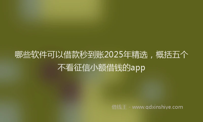 哪些软件可以借款秒到账2025年精选，概括五个不看征信小额借钱的app