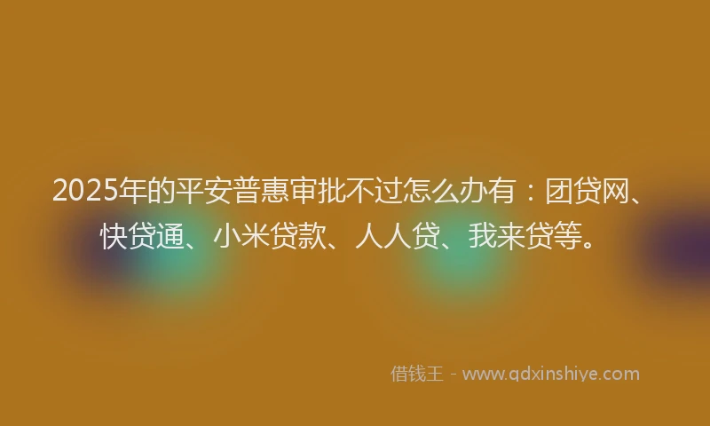 2025年的平安普惠审批不过怎么办有：团贷网、快贷通、小米贷款、人人贷、我来贷等。