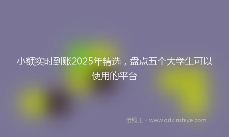 小额实时到账2025年精选，盘点五个大学生可以使用的平台