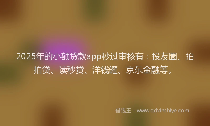 2025年的小额贷款app秒过审核有：投友圈、拍拍贷、读秒贷、洋钱罐、京东金融等。