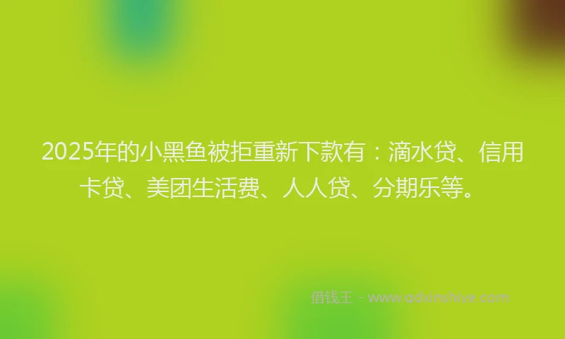 2025年的小黑鱼被拒重新下款有：滴水贷、信用卡贷、美团生活费、人人贷、分期乐等。