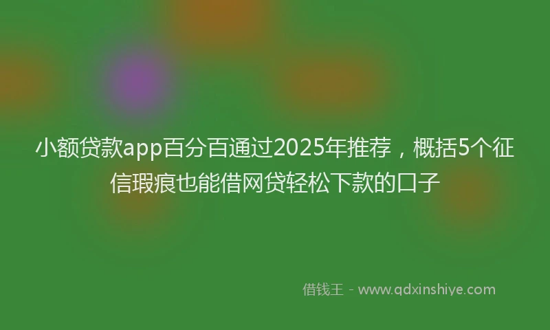 小额贷款app百分百通过2025年推荐，概括5个征信瑕疵也能借网贷轻松下款的口子