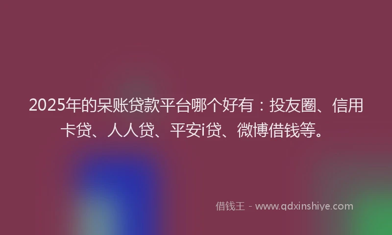 2025年的呆账贷款平台哪个好有：投友圈、信用卡贷、人人贷、平安i贷、微博借钱等。