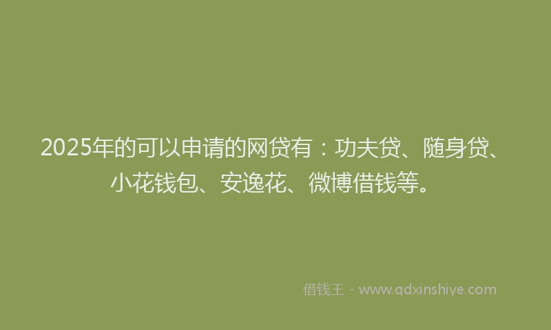 2025年的可以申请的网贷有：功夫贷、随身贷、小花钱包、安逸花、微博借钱等。