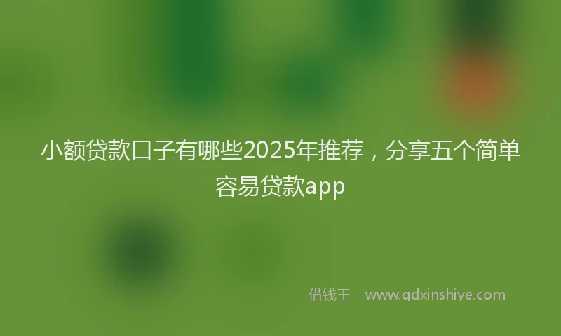 小额贷款口子有哪些2025年推荐，分享五个简单容易贷款app